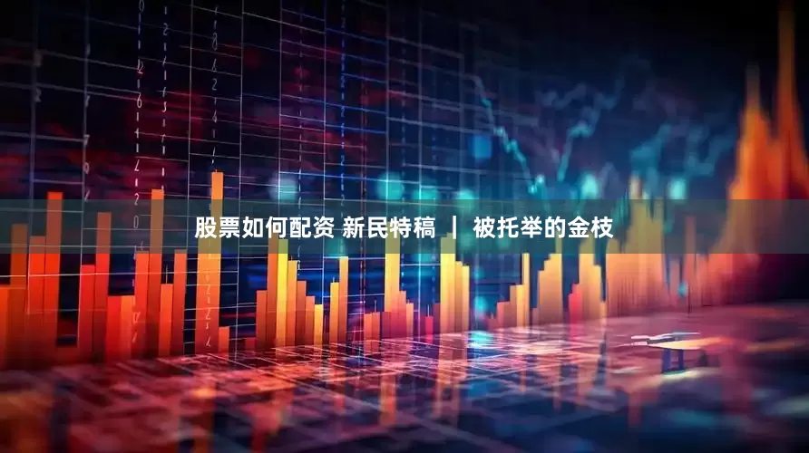 股票如何配资 新民特稿 | 被托举的金枝